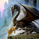 dragon504