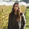 The 100