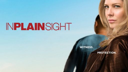 In Plain Sight