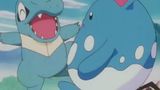 Love, Totodile Style