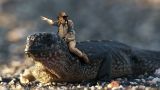 Andy and the Marine Iguanas