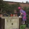 Keeping Up Appearances