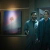 The Expanse