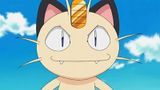 For the Love of Meowth!