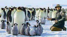 Andy and the Emperor Penguins