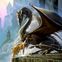 dragon504