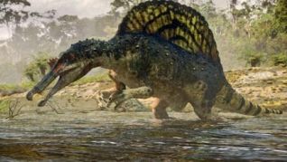 Planet Dinosaur