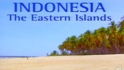 Indonesia: The Eastern Islands