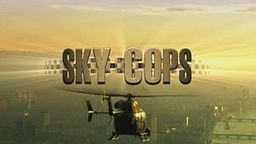 Sky Cops