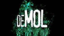 Wie is... de Mol?