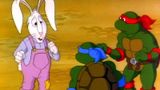 The Turtles and the Hare