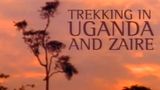 Central Africa: Uganda & Eastern Congo