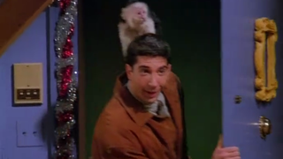 The One with the Monkey