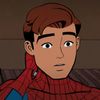 Your Friendly Neighborhood Spider-Man