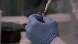 Designer DNA