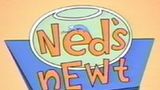 Ned's Newt