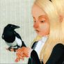 corvidophile