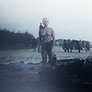 odair