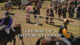 A Horse of a Different Color