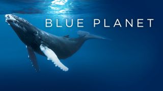 The Blue Planet