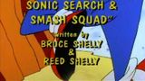 The Super Special Sonic Search And Smash Squad!