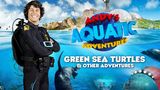 Andy's Aquatic Adventures