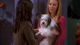 The One Where Chandler Doesn't Like Dogs