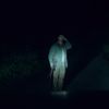 Les Revenants