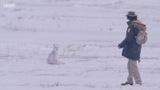 Andy and the Arctic Fox