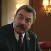 Blue Bloods