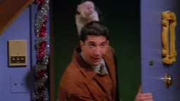The One with the Monkey
