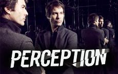 Perception