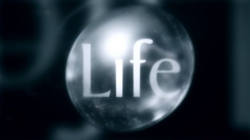 Life