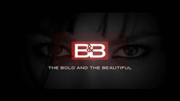 The Bold and the Beautiful
