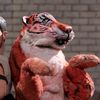 Robot Chicken