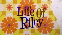 Life Of Riley (2008)