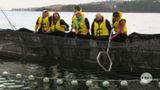 Fishing Boat Salmon Challenge