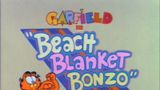 Beach Blanket Bonzo