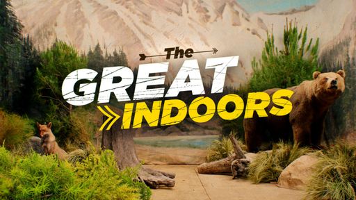 The Great Indoors
