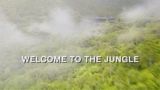 Welcome to the Jungle (1)