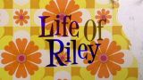 Life Of Riley (2008)