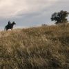 The Last Kingdom