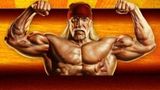 Hulk Hogan’s Celebrity Championship Wrestling
