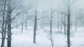 Bastogne