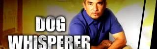 The Dog Whisperer