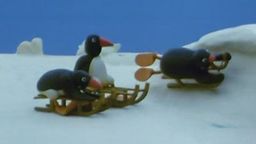 Pingu's Tobogganing