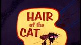 Hair of the Cat