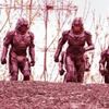 The Expanse