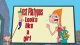 Phineas and Ferb Get Busted