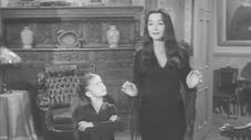 Feud in the Addams Family